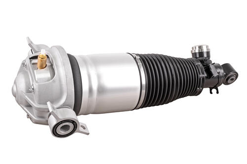 Air Spring Strut