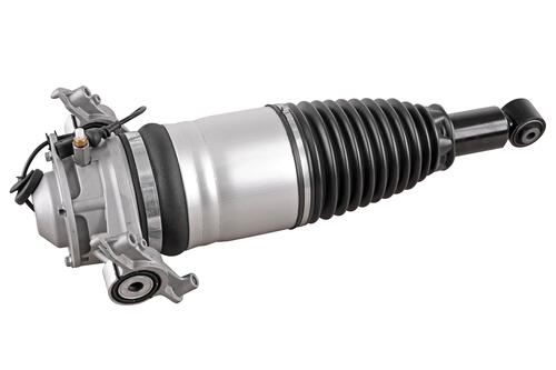 Air Spring Strut