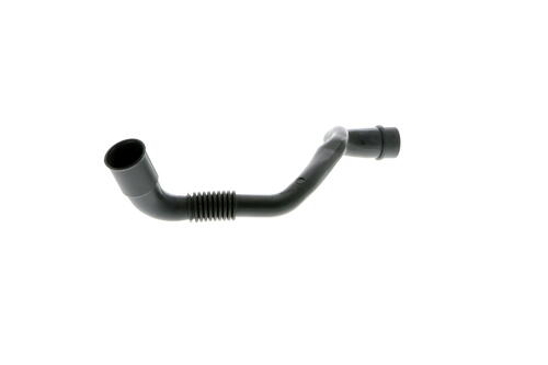 Hose, cylinder head cover breather