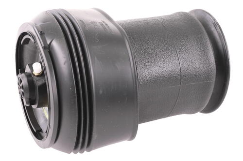 Air Spring Strut