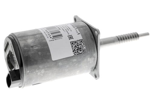 Stellelement, Exzenterwelle (variabler Ventilhub)