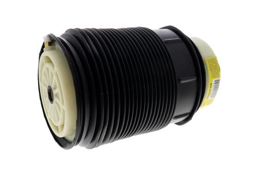 Air Spring Strut