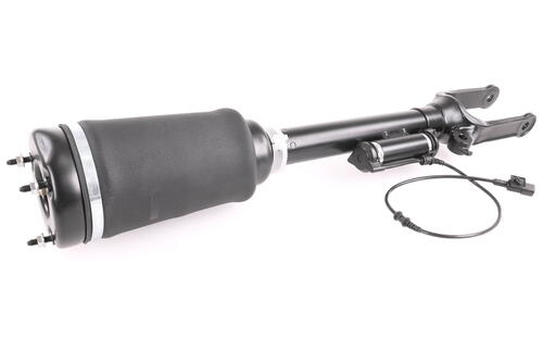 Air Spring Strut