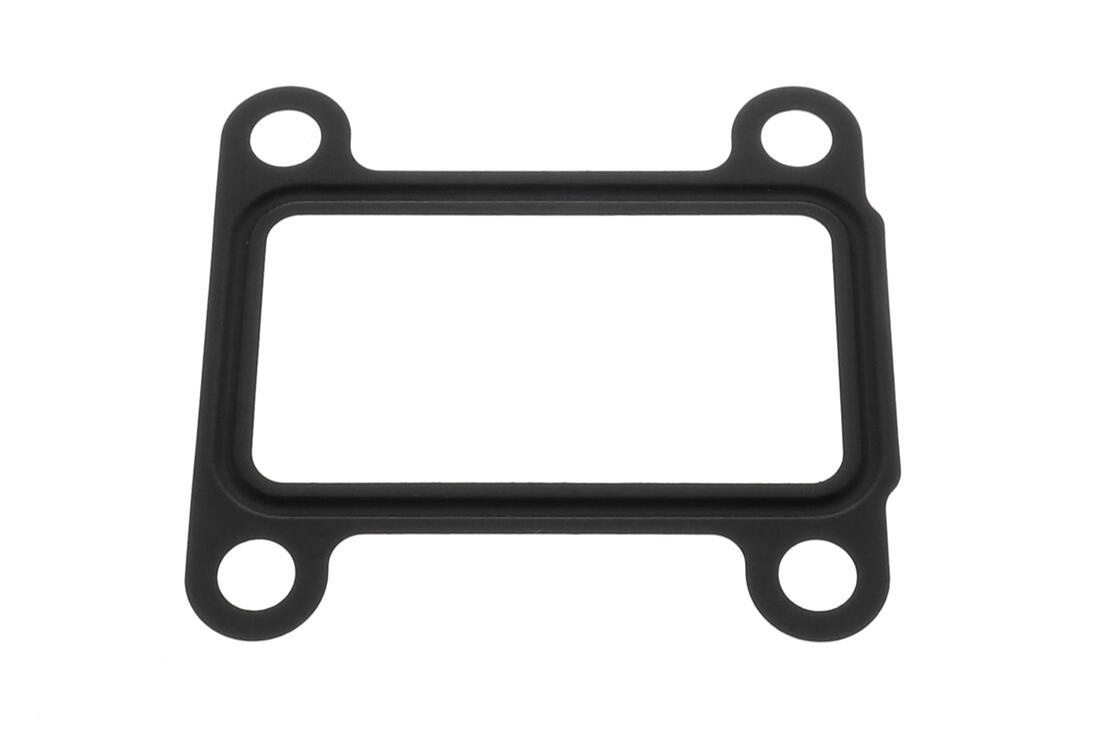 Gasket for  EGR valve