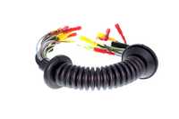 Vorschaubild für Artikel V24-83-0001